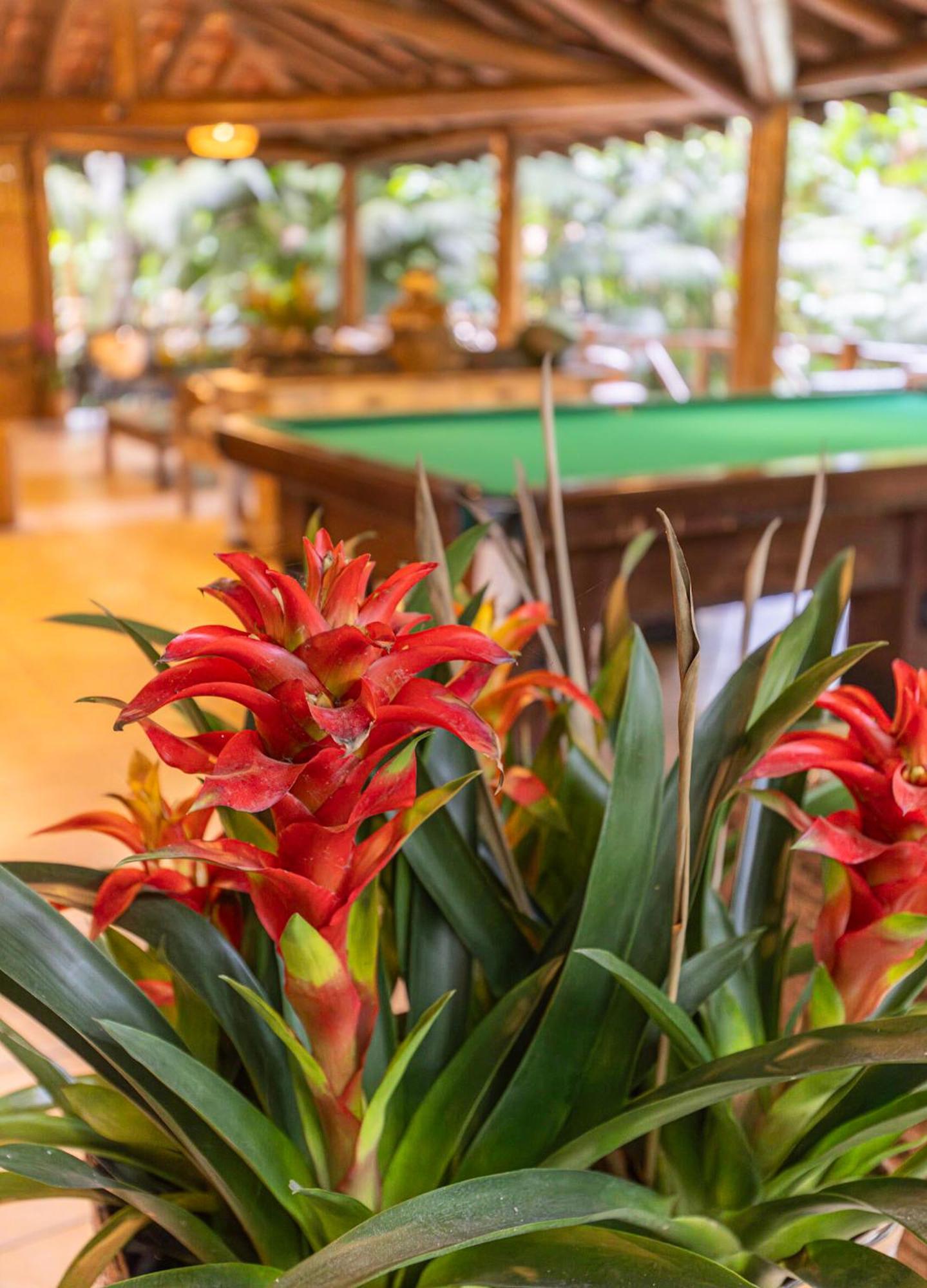 Itamambuca Eco Resort Ubatuba