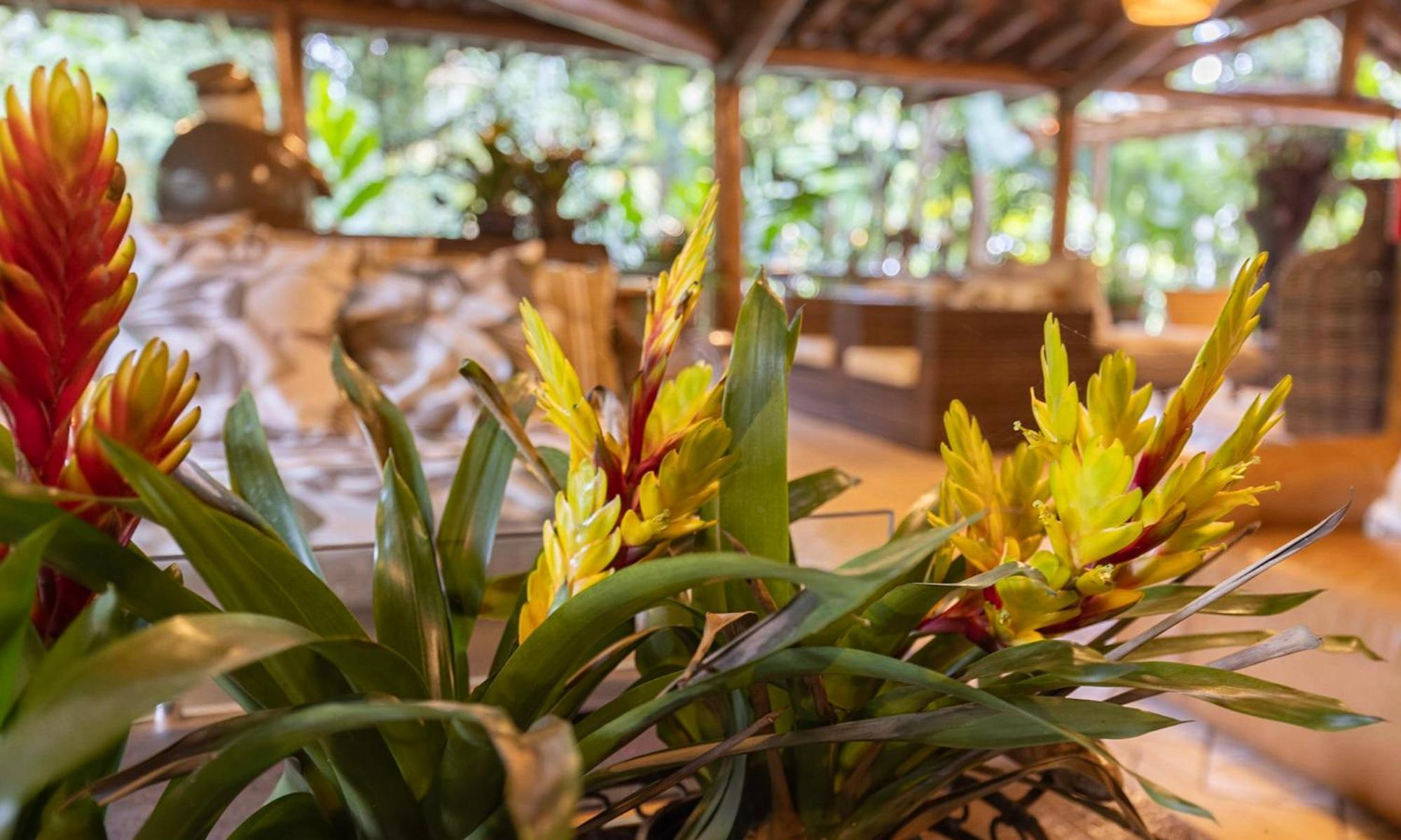 Itamambuca Eco Resort 4*